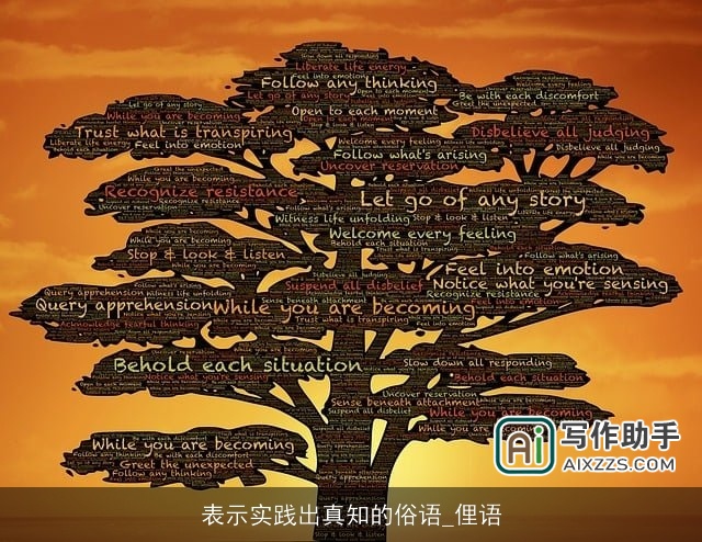 表示实践出真知的俗语_俚语