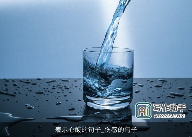 表示心酸的句子_伤感的句子