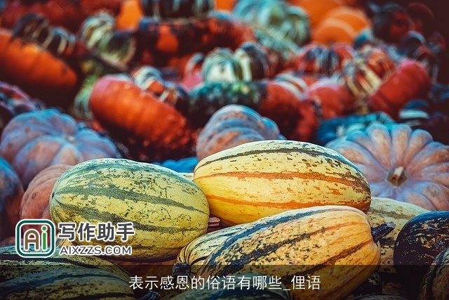 表示感恩的俗语有哪些_俚语