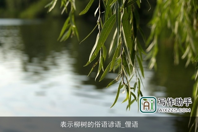 表示柳树的俗语谚语_俚语