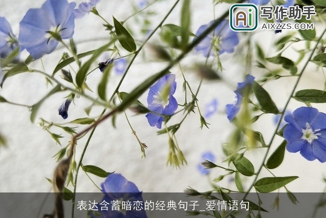 表达含蓄暗恋的经典句子_爱情语句