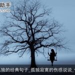 表达寂寞孤独的经典句子_孤独寂寞的伤感说说_伤感的句子