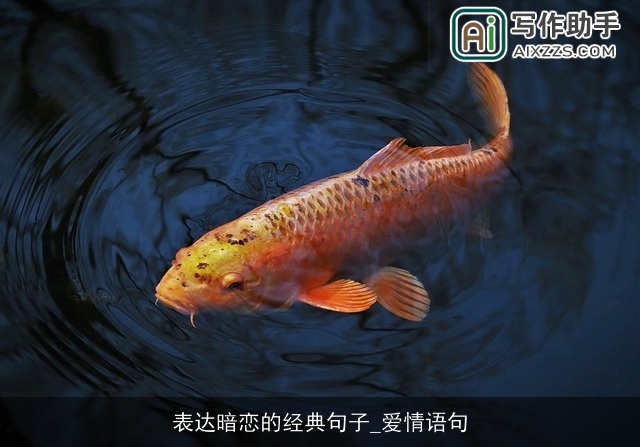 表达暗恋的经典句子_爱情语句