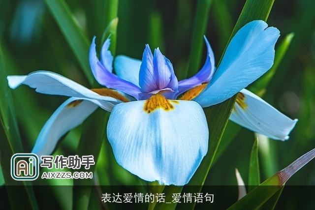 表达爱情的话_爱情语句