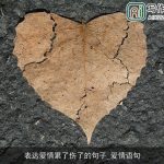 表达爱情累了伤了的句子_爱情语句