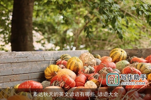 表达秋天的英文谚语有哪些_谚语大全