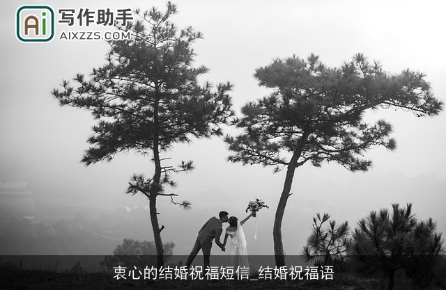 衷心的结婚祝福短信_结婚祝福语