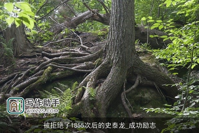 被拒绝了1855次后的史泰龙_成功励志