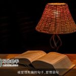 被爱情欺骗的句子_爱情语句