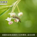 被翻拍成电视剧的小说有哪些_励志故事
