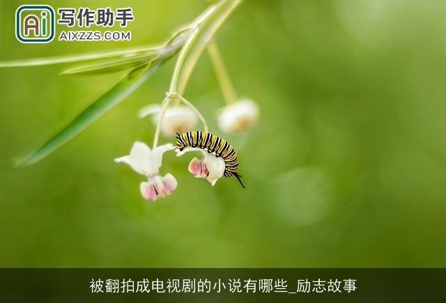 被翻拍成电视剧的小说有哪些_励志故事