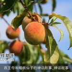 西王母和蟠桃仙子的神话故事_神话故事
