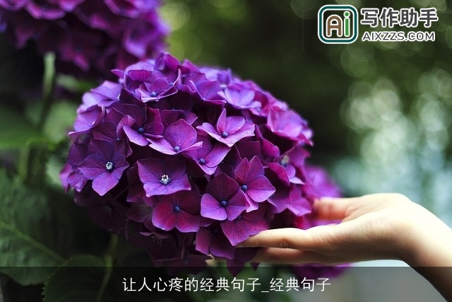 让人心疼的经典句子_经典句子