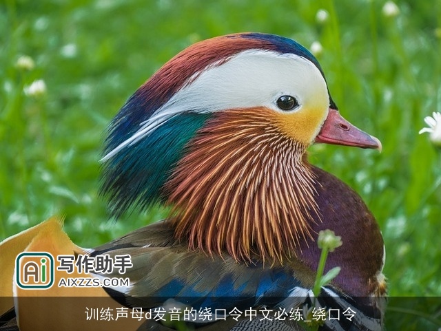 训练声母d发音的绕口令中文必练_绕口令