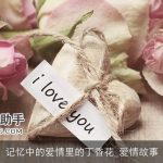 记忆中的爱情里的丁香花_爱情故事