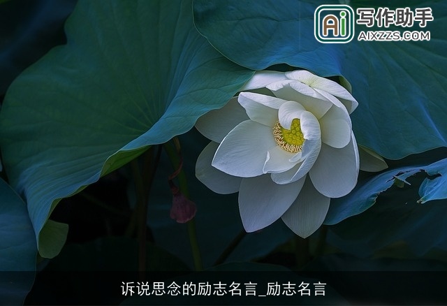 诉说思念的励志名言_励志名言
