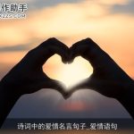 诗词中的爱情名言句子_爱情语句