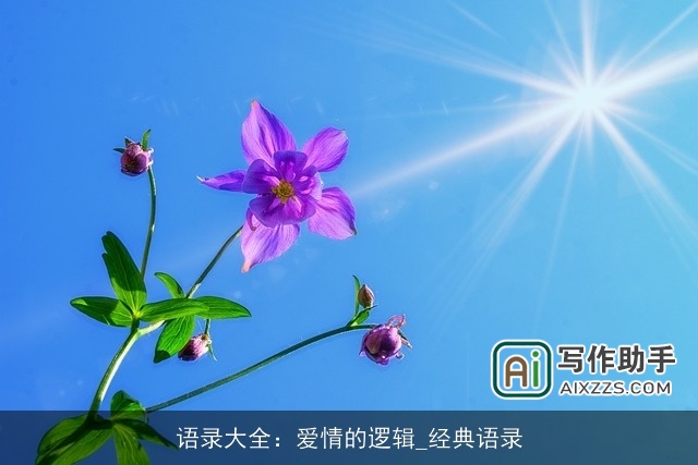 语录大全：爱情的逻辑_经典语录