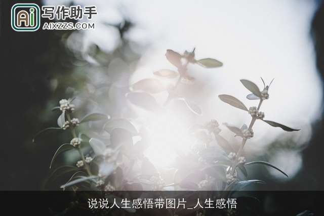 说说人生感悟带图片_人生感悟