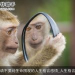 请不要对生命围观的人生格言感悟_人生格言