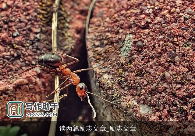 读两篇励志文章_励志文章