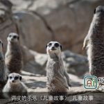 调皮的乐乐（儿童故事）_儿童故事