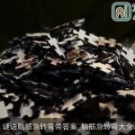 谜语脑筋急转弯带答案_脑筋急转弯大全