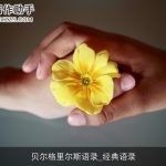 贝尔格里尔斯语录_经典语录