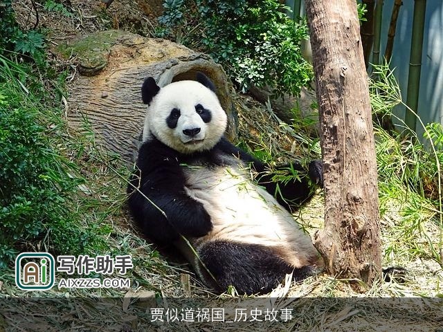 贾似道祸国_历史故事