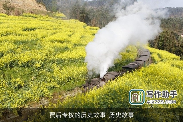 贾后专权的历史故事_历史故事