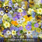 赞美春天的句子_经典语句大全