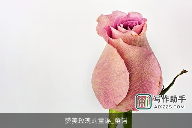 赞美玫瑰的童谣_童谣