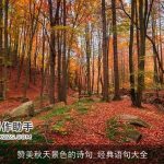 赞美秋天景色的诗句_经典语句大全