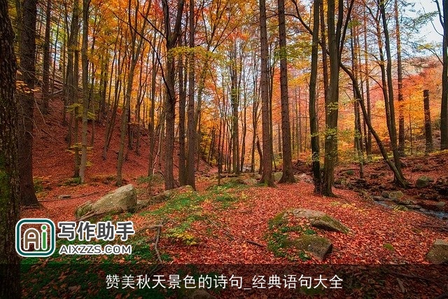 赞美秋天景色的诗句_经典语句大全