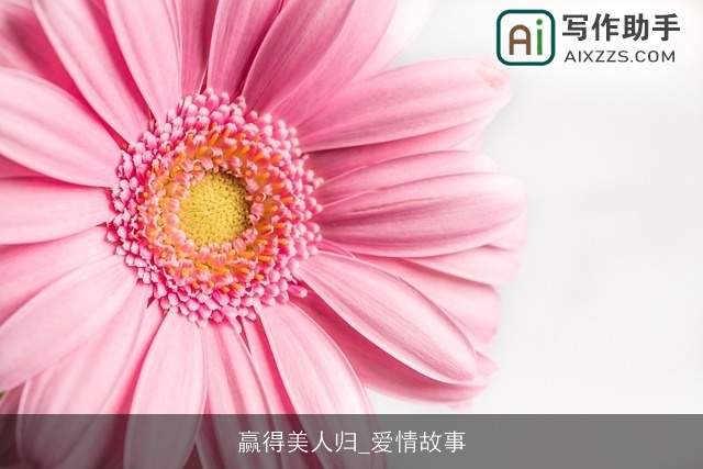 赢得美人归_爱情故事