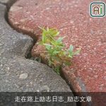 走在路上励志日志_励志文章