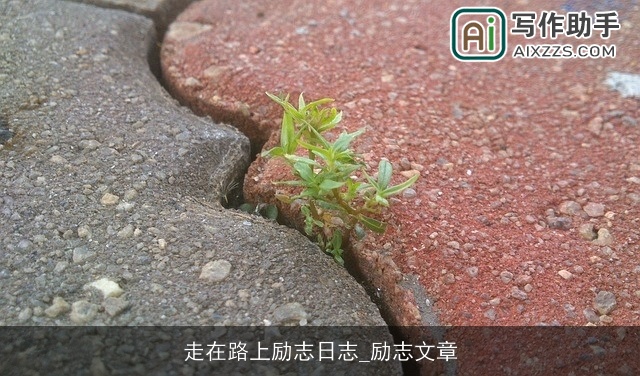 走在路上励志日志_励志文章