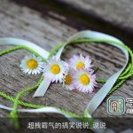 超拽霸气的搞笑说说_说说
