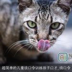 超简单的儿童绕口令训练孩子口才_绕口令