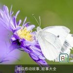 超级感动故事_故事大全