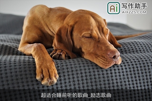 超适合睡前听的歌曲_励志歌曲