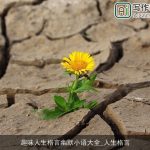 趣味人生格言幽默小语大全_人生格言