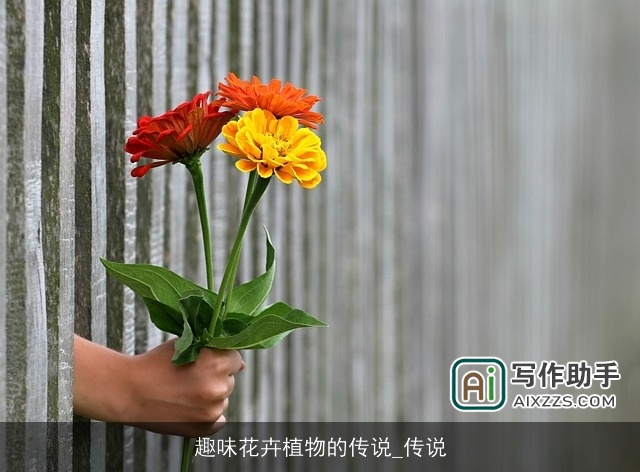 趣味花卉植物的传说_传说