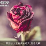 跟励志人生有关的短文_励志文章