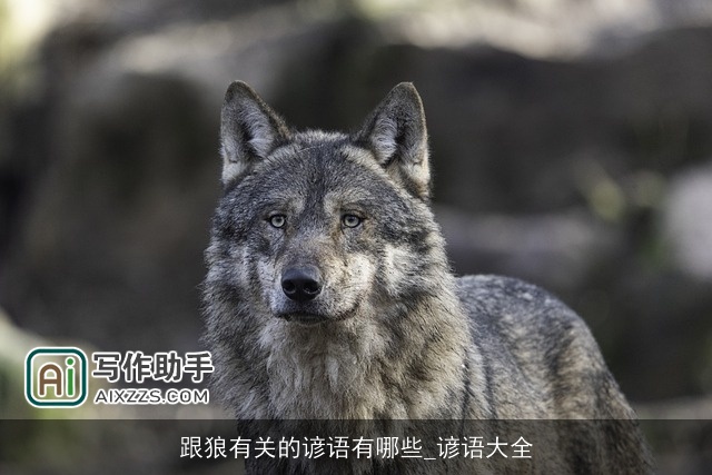 跟狼有关的谚语有哪些_谚语大全