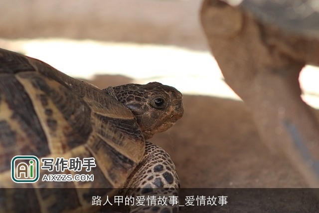 路人甲的爱情故事_爱情故事