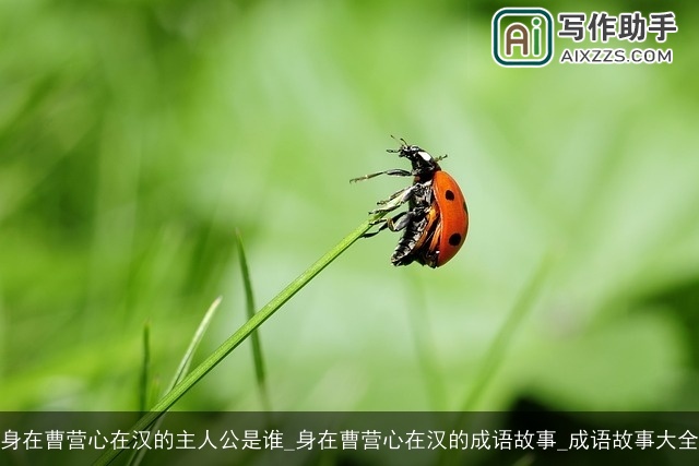 身在曹营心在汉的主人公是谁_身在曹营心在汉的成语故事_成语故事大全