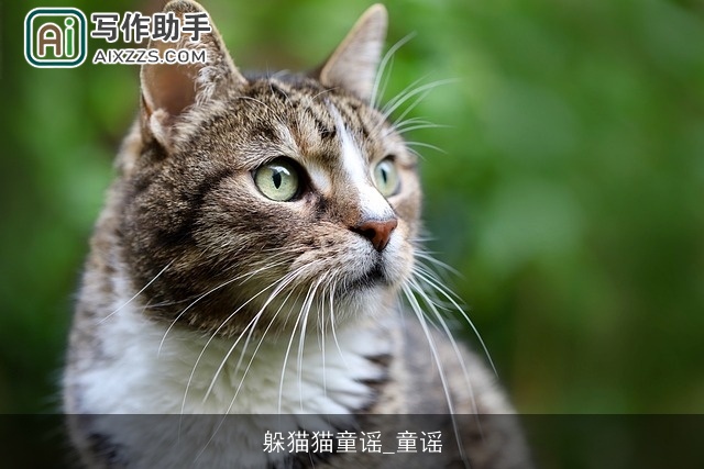 躲猫猫童谣_童谣