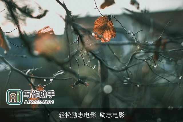 轻松励志电影_励志电影