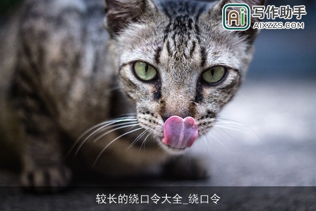 较长的绕口令大全_绕口令